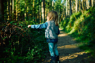 Preschooler walking in the woods on a sunny autumn day