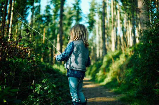 Preschooler walking in the woods on a sunny autumn day