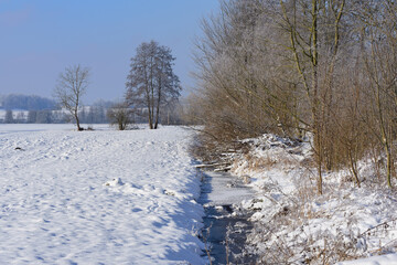 Winter landscape in Bavaria with a narrow stream on the side, small dry trees and a snow-covered field next to it