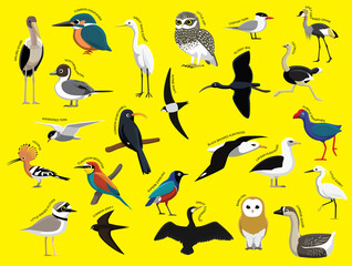 African Birds with Name Cartoon Character Set 1