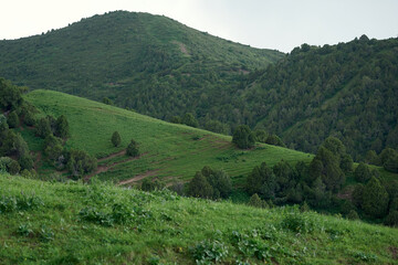 Fototapeta premium Mountain landscape of Kyrgyzstan. Among green valleys, mountains are visible at middle of the day. Tien Shan Mountains, Kyrgyzstan.