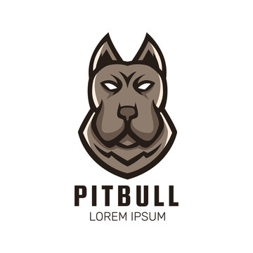 Pitbull mascot logo design vector illustration.