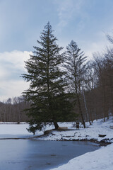 Kokapu hunting castle near by nagyhuta town in Hungary. Amazing hiking area. fantastic nature mood.