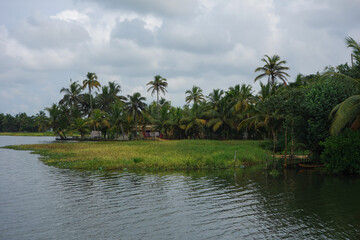 Fototapeta na wymiar Backwaters network of brackish lagoons in Kerala