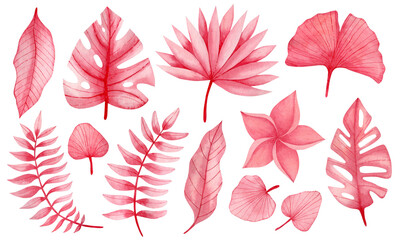 Watercolor set of pink tropical leaves.