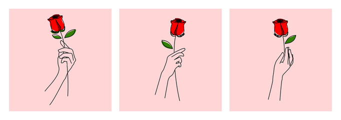 Hand Holding Rose Flower Line Vector Illustration