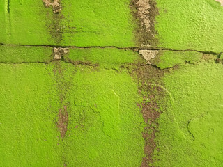 Green cement wall background in vintage style