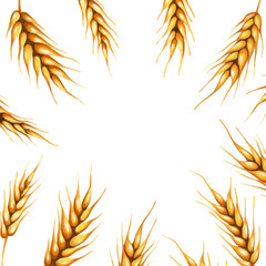 frame ears of rye watercolor