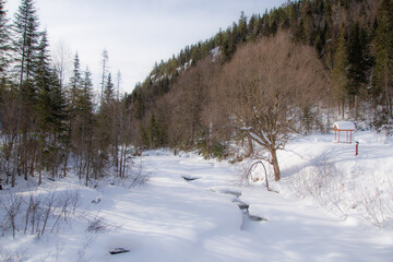 Fototapeta na wymiar Winter landsacape on the countryside in Quebec, Canada