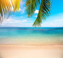 Fototapeta na wymiar Green leaves of Palm tree and tropical beach
