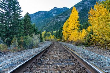 Obraz premium Railway scenery in autumn foliage season. Banff National Park, Canadian Rockies, Alberta, Canada. Colorful trees in orange, yellow, golden colors.