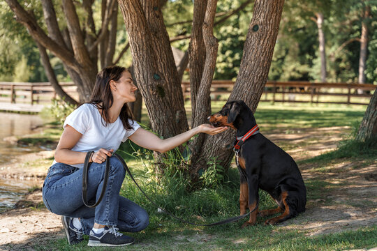 Caucasian brunette woman in white t-shirt spends time with doberman soy dog outdoors