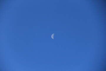 青空に浮かぶ半月