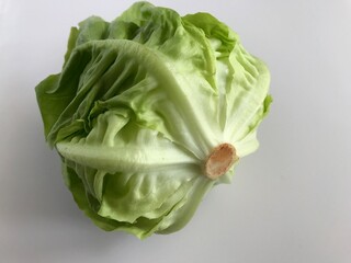 fresh green cabbage