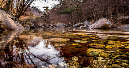 가을의 계곡 풍경
