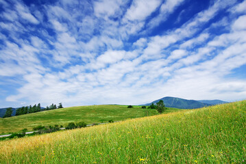 Landscape, view of green rolling fields