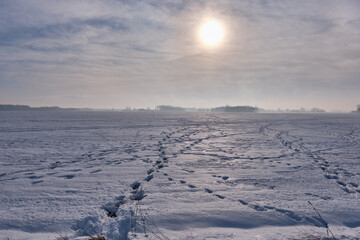 Fototapeta na wymiar Winter landscape with animal track