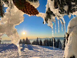 Fototapety na wymiar - Fototapeta24.pl