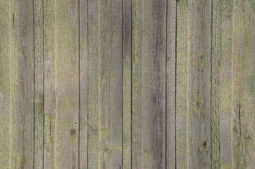 Fototapeta premium wood texture
