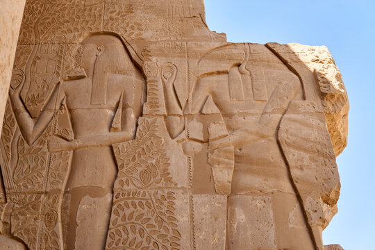 A carved relief from a wall in the Ramesseum Temple with god Horus and the tree of Life, Thebes, Luxor, Egypt
