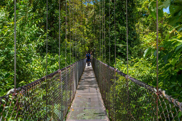 Arenal Hanging Bridges, man hiking in green tropical jungle, Costa Rica, Central America.