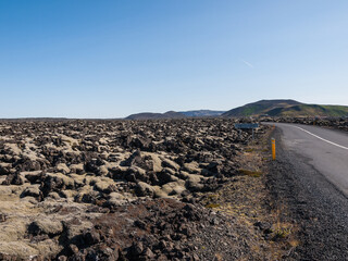 The lava field with moss in Iceland