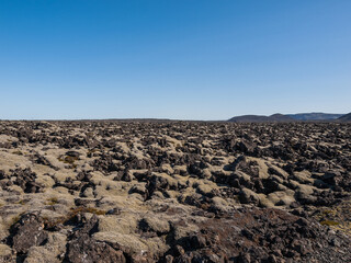 The lava field with moss in Iceland