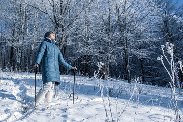 Senior woman walking in the winter forest using Nordic walking sticks. Active lifestyle, adventure concept. Nordic walking in winter