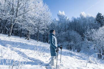 Senior woman walking in the winter forest using Nordic walking sticks. Active lifestyle, adventure concept. Nordic walking in winter