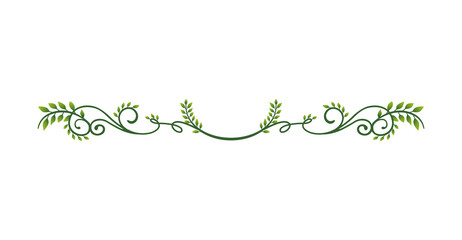 decorative vintage border illustration (natural plant)