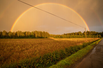 Complete rainbow in a field