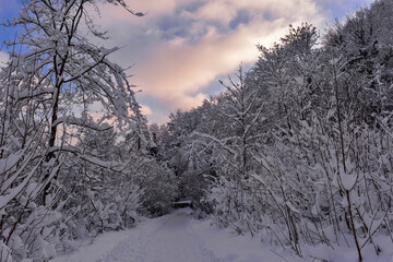 Winterlandschaft am Hohentwiel im Hegau