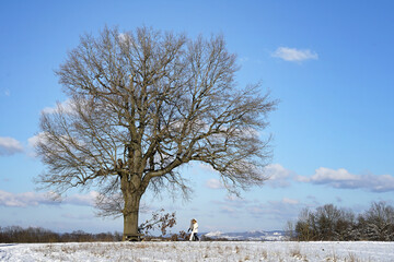 Winterspaziergang 2 Personen und einzelner Baum bei Schnee und Sonnenschein