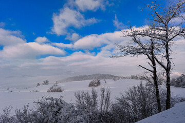 Der Hohentwiel im Hegau