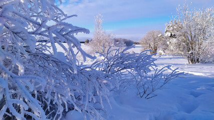 Russia,Republic Of Karelia,Kostomuksha. It's a frosty,sunny ,winter day here. February, 12.2021.