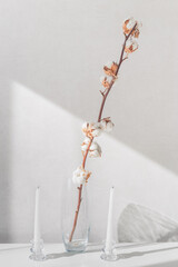 Cotton plant branches in vase and white candles on a white table. Interior decoration