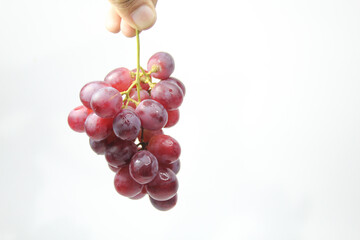 Photo of a hand-held creative wine concept with a white background. Selective focus.