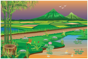 paddy field and beauty of nature at countryside vector design