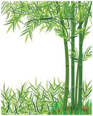 isolated bamboo tree on white background vector design