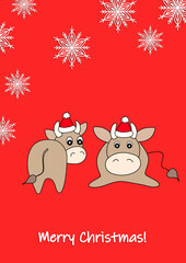 Merry Christmas, holiday, celebration greeting and invitation card, banner, frame, header, postcard. Colorful cute vector with animal and snowflakes on red background. Bull in a winter hat.