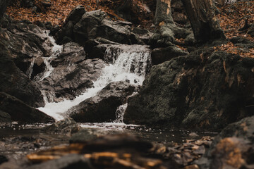 waterfall in the forest