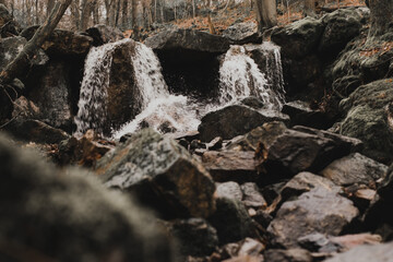 Waterfall  in forest