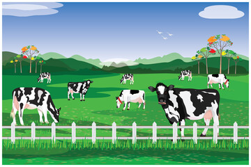  dairy cow on grass field  vector design