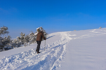 Skilanglauf im Hegau 