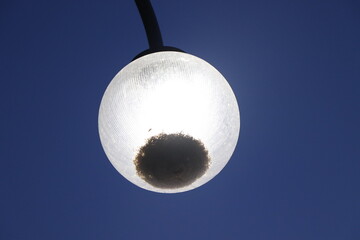 light in the night