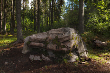 Green woods with mossy boulders.