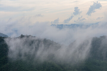 Mountain forest with white clouds or fog