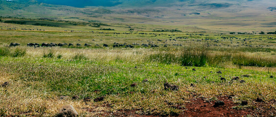 African landscape