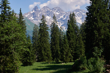 Blick auf den Alpenhauptkamm im südlichen Stillachtal