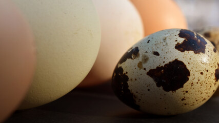 Chicken eggs and quail egg in various colors macro easter